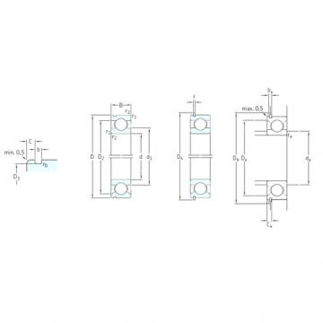 roulements 6013N SKF