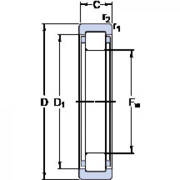 roulements RNU 204 ECP SKF