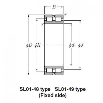 Bearing SL01-4926