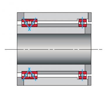 Bearing SF100XP0