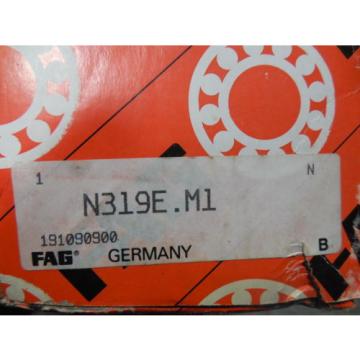 NEW FAG N319E.M1 Single Row Cylindrical Roller Bearing