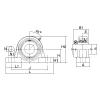 UELP-1.1/4 NTN SPHERICAL ROLLER NTN JAPAN BEARING