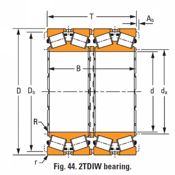 Bearing nP195018 nP069789 #1 image